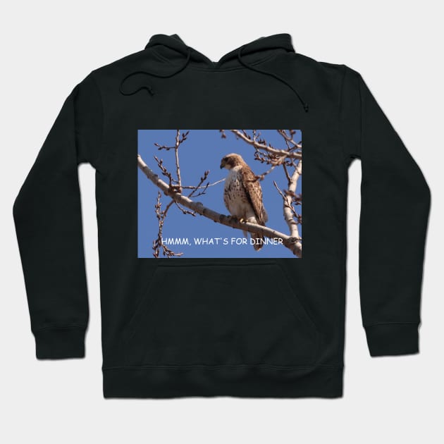 HUNGRY HAWK Hoodie by Judy Geller